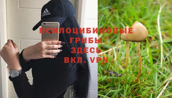 а пвп мука Арсеньев